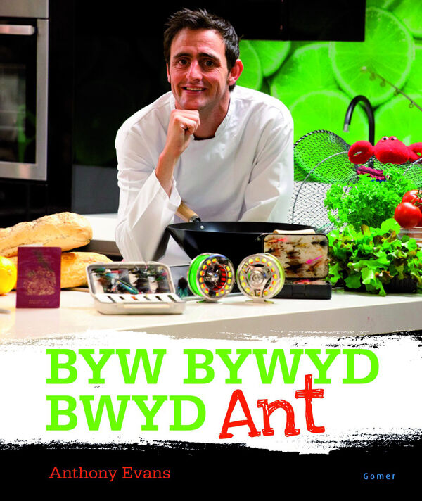 A picture of 'Byw, Bywyd, Bwyd Ant' 
                              by Anthony Evans